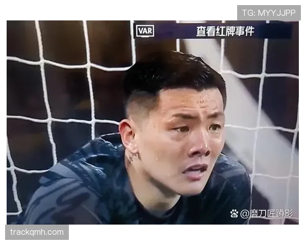 教练红牌判罚逻辑详解,哪些行为会被直接罚下?